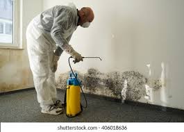 Reliable Providence Village, TX Mold Inspection Solutions